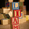 Liam - Alphabet Blocks by Edward Fielding Liam - Alphabet Blocks by Edward Fielding