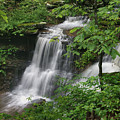 Lichen Falls Ozark National Forest Photograph by Tim Fitzharris Lichen Falls Ozark National Forest Photograph by Tim Fitzharris