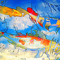 Life Is But A Dream - Koi Fish Art by Sharon Cummings Life Is But A Dream - Koi Fish Art by Sharon Cummings
