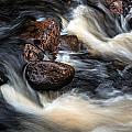 Like a Rock Photograph by Doug Gibbons Like a Rock Photograph by Doug Gibbons