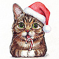 Cat Santa Christmas Animal Painting by Olga Shvartsur Cat Santa Christmas Animal Painting by Olga Shvartsur