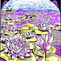 Lilies of the Lake by Seth Weaver Lilies of the Lake by Seth Weaver