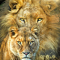 Lion And Lioness- African Royalty Mixed Media by Carol Cavalaris Lion And Lioness- African Royalty Mixed Media by Carol Cavalaris