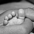 Tiny Infant Toes in Father's Big Hand by Ginger Wakem