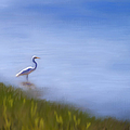 Lone Egret Painting by Michelle Wrighton