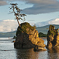 Lone Tree on a Rock at Sunset Photograph by Jeff Goulden Lone Tree on a Rock at Sunset Photograph by Jeff Goulden