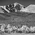 Longs Peak a Colorado Playground In Black and White Photograph by James BO Insogna Longs Peak a Colorado Playground In Black and White Photograph by James BO Insogna