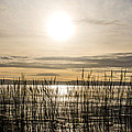 Looking at Wales through the grass Photograph by Spikey Mouse Photography Looking at Wales through the grass Photograph by Spikey Mouse Photography