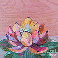 Lotus I by Shadia Derbyshire Lotus I by Shadia Derbyshire