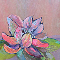 Lotus Iv by Shadia Derbyshire Lotus Iv by Shadia Derbyshire