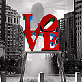 Love isn't always black and white Photograph by Paul Ward Love isn't always black and white Photograph by Paul Ward