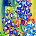 Lupinus Texensis Painting by Hailey E Herrera Lupinus Texensis Painting by Hailey E Herrera