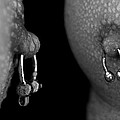 Macro Nipples by Mark Ashkenazi Macro Nipples by Mark Ashkenazi