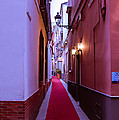 Magic Carpet Ride Photograph by AM FineArtPrints Magic Carpet Ride Photograph by AM FineArtPrints