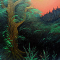 Magic forest by Sergey Bezhinets Magic forest by Sergey Bezhinets