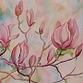 Magnolia by Heather Gallup Magnolia by Heather Gallup