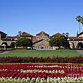 Main Quad Stanford California by Jason O Watson Main Quad Stanford California by Jason O Watson