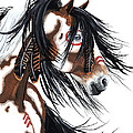 Majestic Pinto horse Painting by AmyLyn Bihrle Majestic Pinto horse Painting by AmyLyn Bihrle