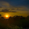 Malaysia Sunrise Photograph by Bill Cubitt Malaysia Sunrise Photograph by Bill Cubitt