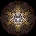 Mandala Sand Dollar at Wells by Nancy Griswold Mandala Sand Dollar at Wells by Nancy Griswold