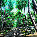 Manzanilla Coconut Estate by Karin Dawn Kelshall- Best Manzanilla Coconut Estate by Karin Dawn Kelshall- Best