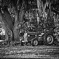 Massey Ferguson - Shade Tree by Scott Hansen