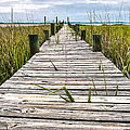 McTeer Dock by Scott C Hansen