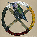Medicine Wheel Painting by J W Baker Medicine Wheel Painting by J W Baker