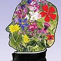 Mendel Digital Art by Norman Klein Mendel Digital Art by Norman Klein