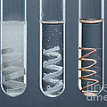 Metal Reactivity by GIPhotoStock Metal Reactivity by GIPhotoStock