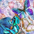 Metamorphosis by Mo T Metamorphosis by Mo T