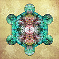Metatron's Cube by Filippo B Metatron's Cube by Filippo B