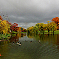 Michigan Autumn by Michael Rucker Michigan Autumn by Michael Rucker