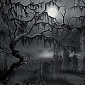 Midnight in the Graveyard by James Christopher Hill Midnight in the Graveyard by James Christopher Hill