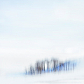 Minimal Trees Photograph by Theresa Tahara Minimal Trees Photograph by Theresa Tahara