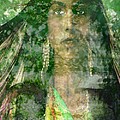Mistress Of The Wind by Seth Weaver Mistress Of The Wind by Seth Weaver
