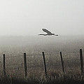 Misty Horizons Photograph by Kevin Dietrich