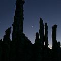 Mono Lake Tufas Silhouette by Erika Fawcett