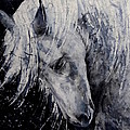 Moody Blues Painting by Hailey E Herrera Moody Blues Painting by Hailey E Herrera