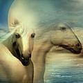 Moon Sisters by Carol Cavalaris Moon Sisters by Carol Cavalaris
