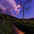 Moonlight Meadow by Chad Dutson Moonlight Meadow by Chad Dutson