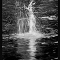 Moonlight Sprite Painting by Omaste Witkowski Moonlight Sprite Painting by Omaste Witkowski