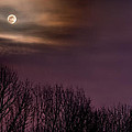 Moonrise over Weldon Springs Photograph by Robert Charity Moonrise over Weldon Springs Photograph by Robert Charity