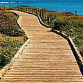 Moonstone Beach Park by Diana Sainz Photograph by Diana Raquel Sainz Moonstone Beach Park by Diana Sainz Photograph by Diana Raquel Sainz