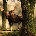 Moose and Squirrel Digital Art by Daniel Eskridge Moose and Squirrel Digital Art by Daniel Eskridge