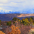 More Snow Coming by Roena King More Snow Coming by Roena King