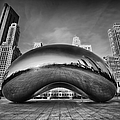Morning Bean in Black and White Photograph by Sebastian Musial Morning Bean in Black and White Photograph by Sebastian Musial