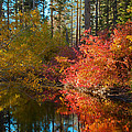 Morning Glow Photograph by Jonathan Nguyen Morning Glow Photograph by Jonathan Nguyen