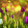 Morning Has Broken Photograph by Theresa Tahara Morning Has Broken Photograph by Theresa Tahara