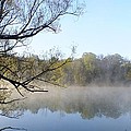 Morning Mist Photograph by Peggy King